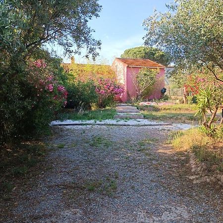 Maison De Vacances, Proche De La Plage Fréjus Екстериор снимка