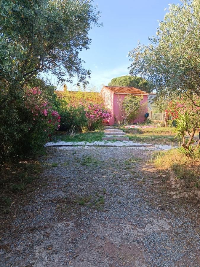 Maison De Vacances, Proche De La Plage Fréjus Екстериор снимка